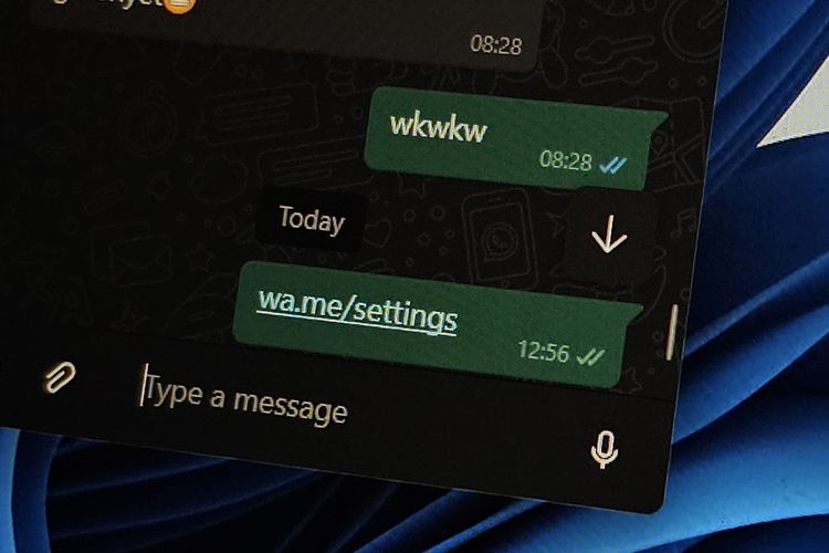 Chat wa.me/settings Bikin WhatsApp Crash.