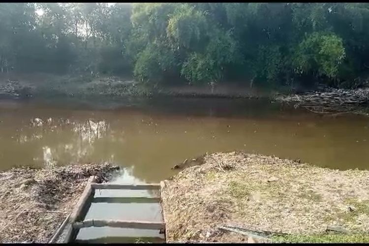 Kondisi air Sungai Bengawan Solo di Semanggi, Solo, Jawa Tengah, tercemar limbah etanol pada Jumat (16/6/2023).