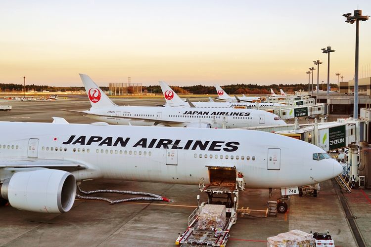 Ilustrasi Japan Airlines (JAL)