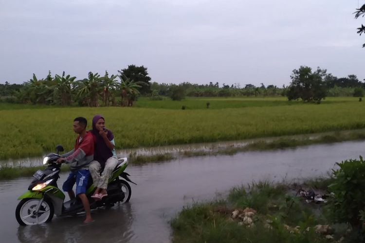 Banjir luapan air Kali Lamong di Kecamatan Balongpanggang, Gresik, saat ini tinggal merendam area persawahan warga, Jumat (11/2/2022).