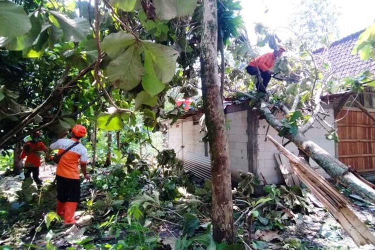 BPBD Kabupaten Grobogan mengevakuasi pohon tumbang yang menimpa rumah di Desa Kaliwenang, Kecamatan Tanggungharjo, Kabupaten Grobogan, Senin (14/3/2022).
