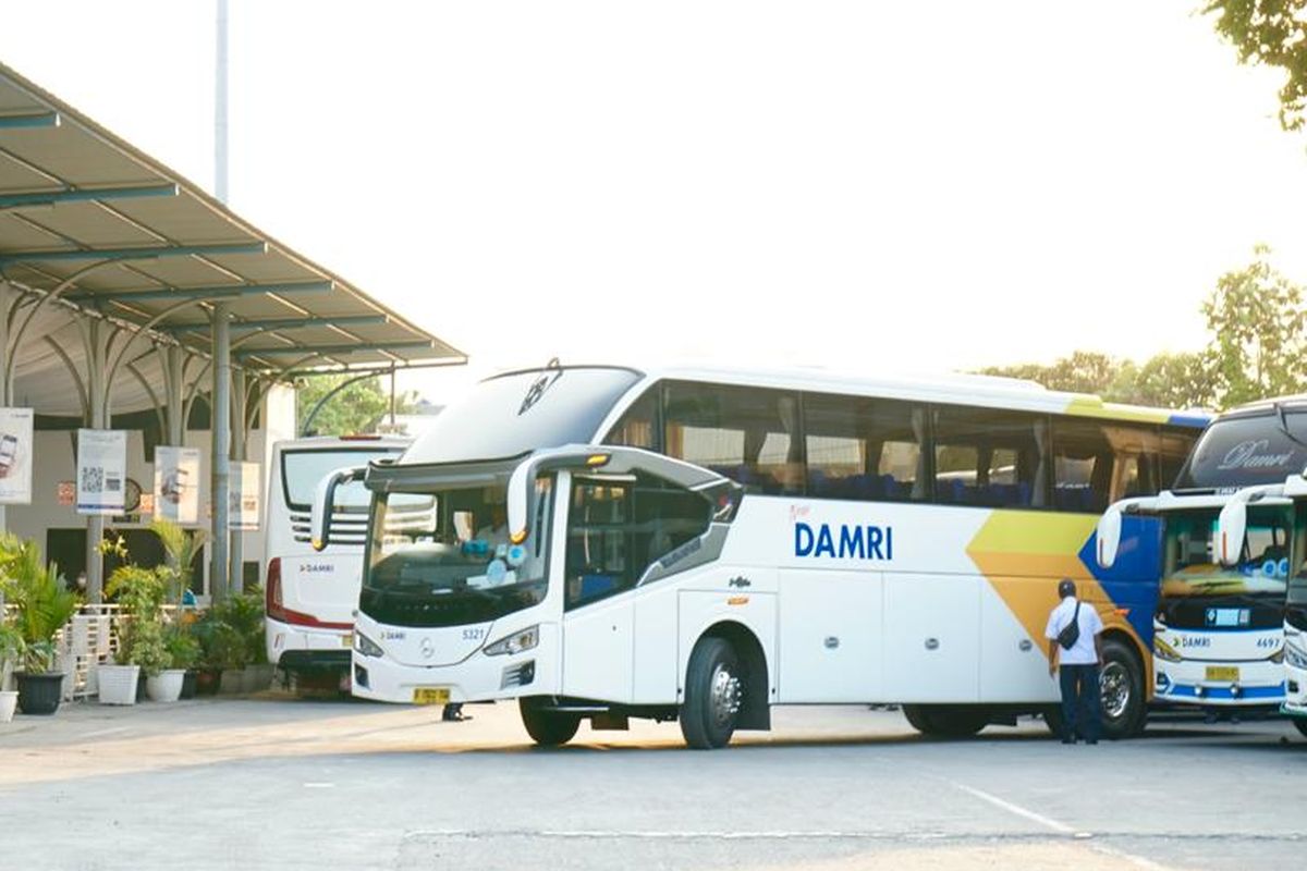 Bus DAMRI