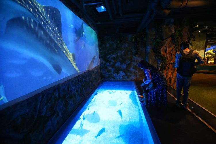 Pengunjung berlibur di wisata Jakarta Aquarium pada akhir pekan, Sabtu (24/11/2018). Destinasi wisata baru di pusat perbelanjaan NeoSoho, Jakarta Barat, ini menampilkan 600 satwa air dan darat dari Asia Pasifik.