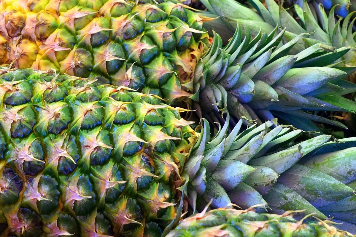 Ilustrasi nanas, buah nanas. 