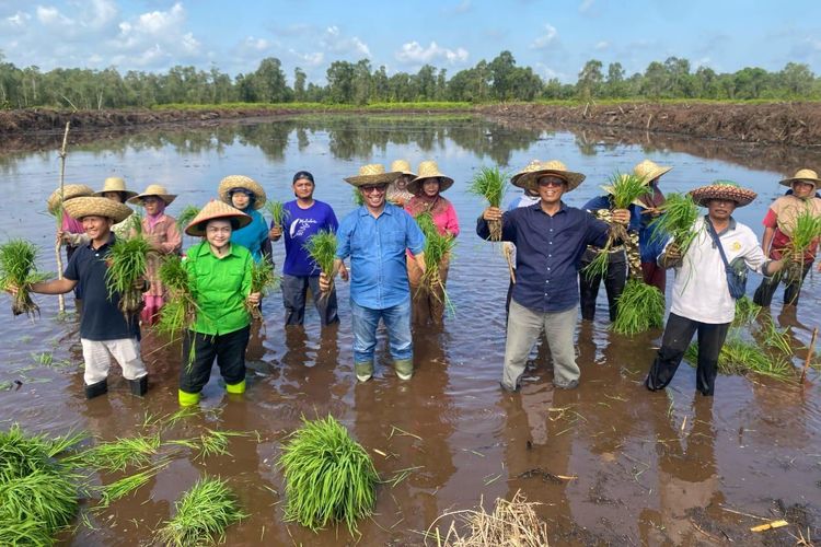 Kementan melalui Ditjen PSP melakukan gerak cepat tanam perdana. 