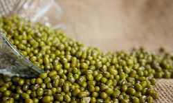 Mengapa Kacang Hijau Baik untuk Dikonsumsi?