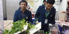 Jurus Jitu Bangkitkan Pertanian Indonesia