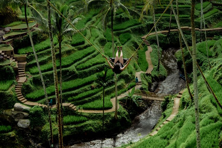 Alas Harum Agrotourism di Tegallalang, Bali.