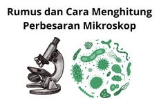 Rumus dan Cara Menghitung Perbesaran Mikroskop