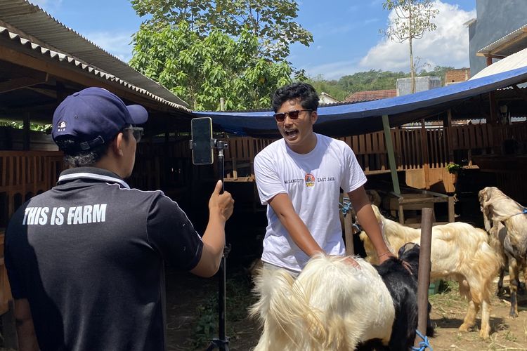 Cara Unik Penjual Kambing di Malang Raup Banyak Pembeli lewat Live Streaming