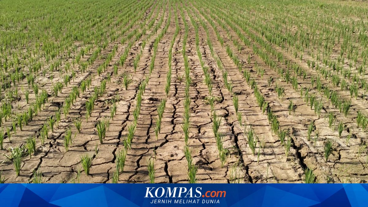 11 Wilayah di Boyolali Langganan Kekeringan, BPBD Siapkan 1,25 Juta Liter Air Bersih