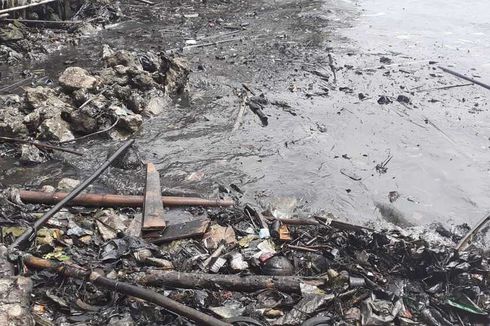 Pantai di Pesisir Bandar Lampung Berwarna Hitam Diduga Tercemar Limbah, Ikan dan Penyu Ditemukan Mati