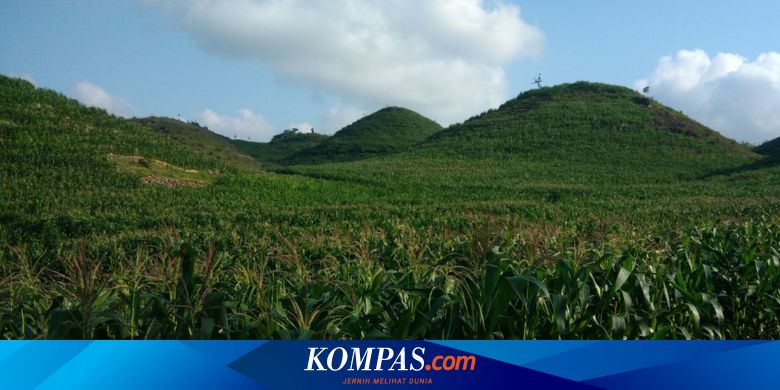 Viral Ada Bukit Teletubbies Di Gunung Kidul Yogyakarta Halaman All Kompas Com