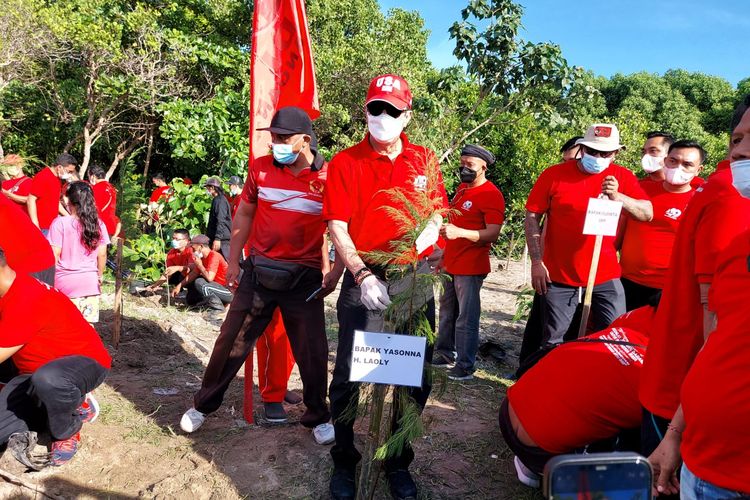 Ketua DPP PDI-P Yasonna Laoly saat menanam pohon mangrove di Bali, Minggu (23/1/2022)