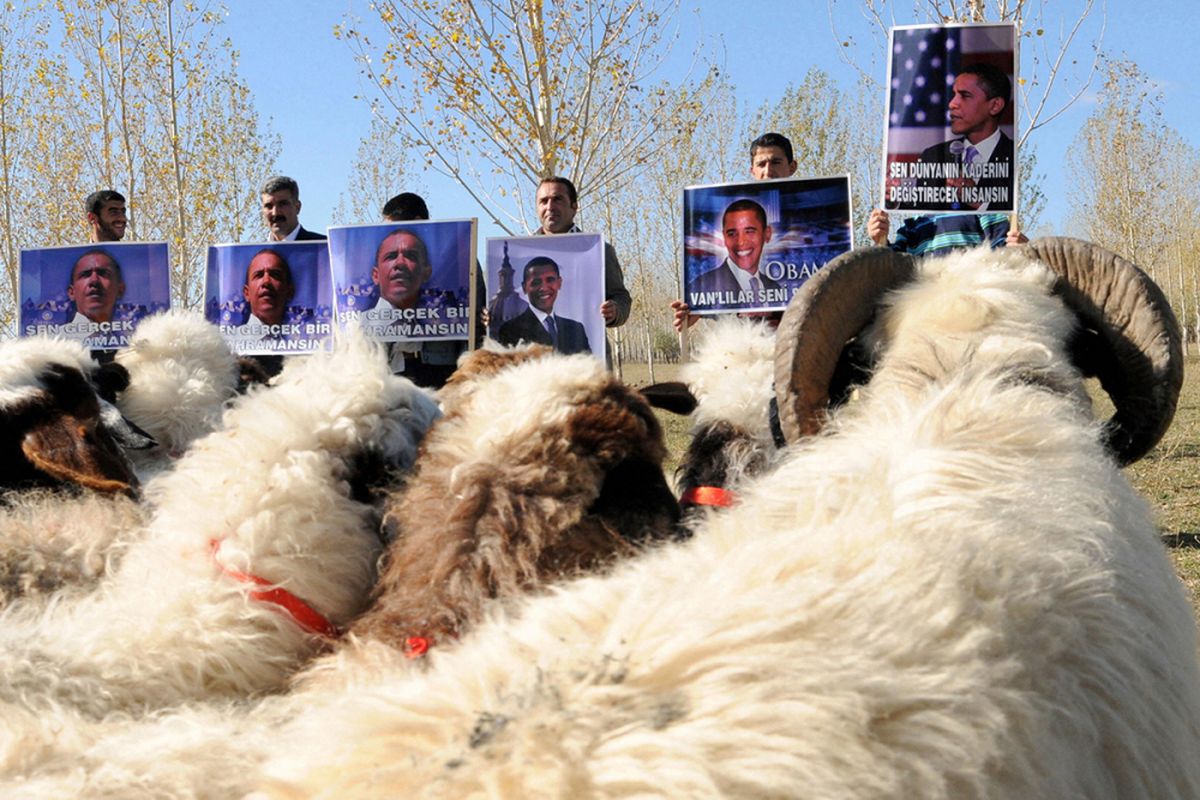Domba belajar mengenali wajah mantan Presiden AS, Barack Obama