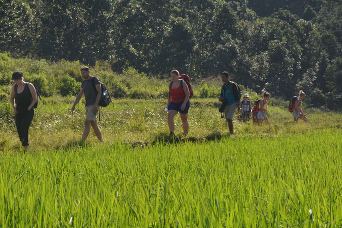 Turis Belgia berjalan di pinggir sawah Mbeling dengan padi yang hijau. Turis sangat menyukai wisata ekologi yang ditawarkan warga Mbeling, Desa Gurung Liwut, Kecamatan Borong, Manggarai Timur, Flores, NTT, Senin (14/8/2017). 