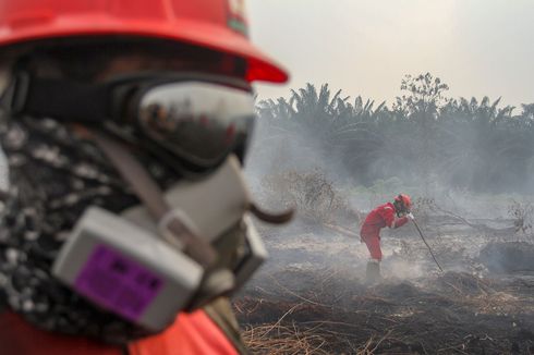 Tersangka Perusahaan Kebakaran Hutan dan Lahan Bertambah Jadi 11