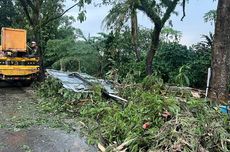 Daftar Harga iPhone, Samsung, dan OPPO Hari Ini 30 Desember 2025, Masih Ada Diskon Akhir Tahun