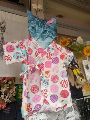Yanaka Ginza yang terletak di Tokyo, Jepang adalah sebuah pusat perbelanjaan bergaya retro yang sudah ada sejak tahun 1955. Pusat perbelanjaan ini masih mempertahankan toko-toko lama yang puluhan tahun menjual bermacam barang mulai dari makanan, pakaian, mainan, kain kimono, hingga pernak pernik kucing.