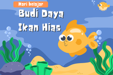 Jenis-jenis dan Cara Budi Daya Ikan Hias