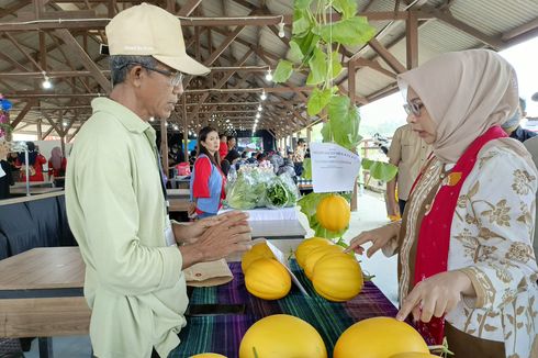 Insentif PPh 0 Persen Buat UMKM di IKN Berlaku hingga 2035