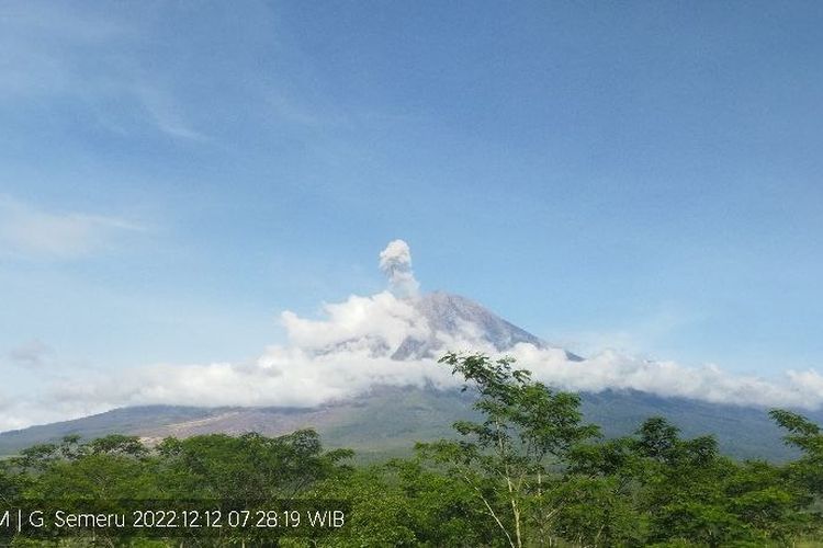 Letusan asap setinggi 500 meter diatas puncak kawah Semeru, Senin (12/12/2022)