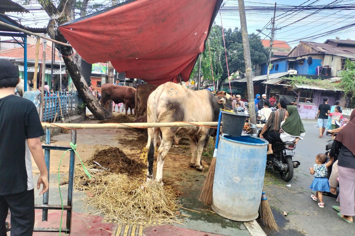 Pedagang hewan kurban menjajakan dagangannya di atas trotoar Jalan Kramat Jaya Baru, Johar Baru, Jakarta Pusat, meski Pemerintah Kota Jakarta Pusat telah melarang. 