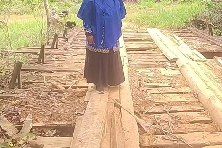 Viral Jembatan Bolong Menuju SD Pedalaman Aceh Utara, Guru: Tolong Diperbaiki