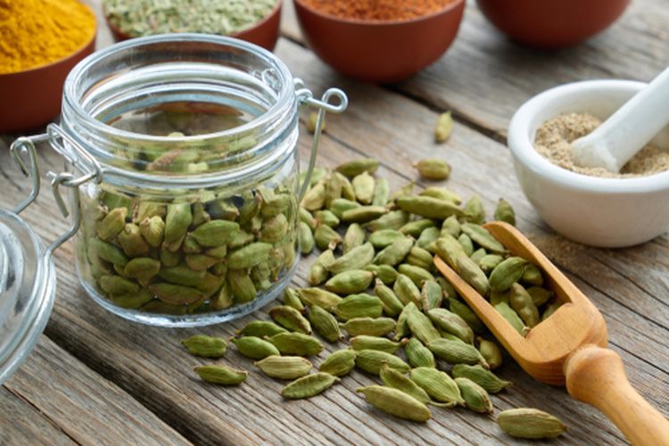 Ilustrasi kapulaga hijau