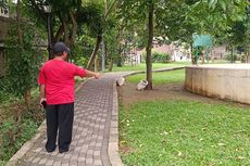 Taman Tulip Ciracas Jadi Tempat Mabuk dan Mesum, Orangtua Larang Anaknya Bermain di Sana