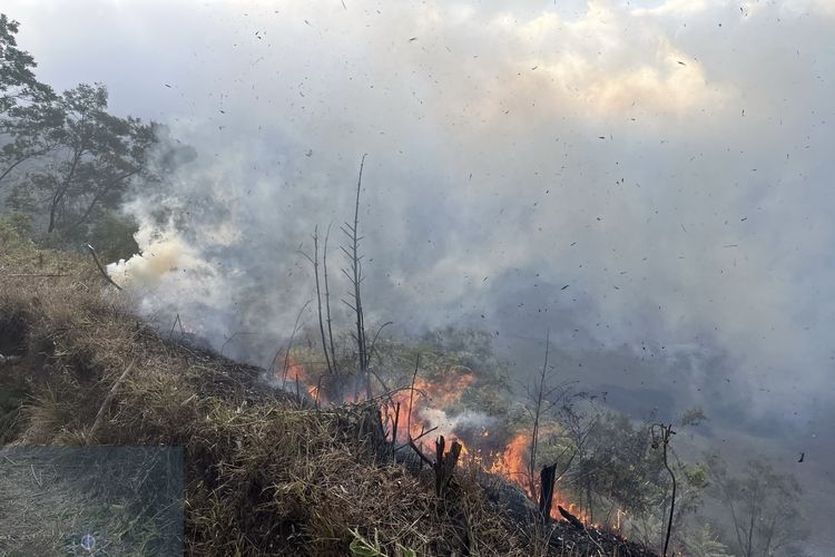 Kebakaran Gunung Bromo Meluas, Api Mulai Mengarah ke Savana