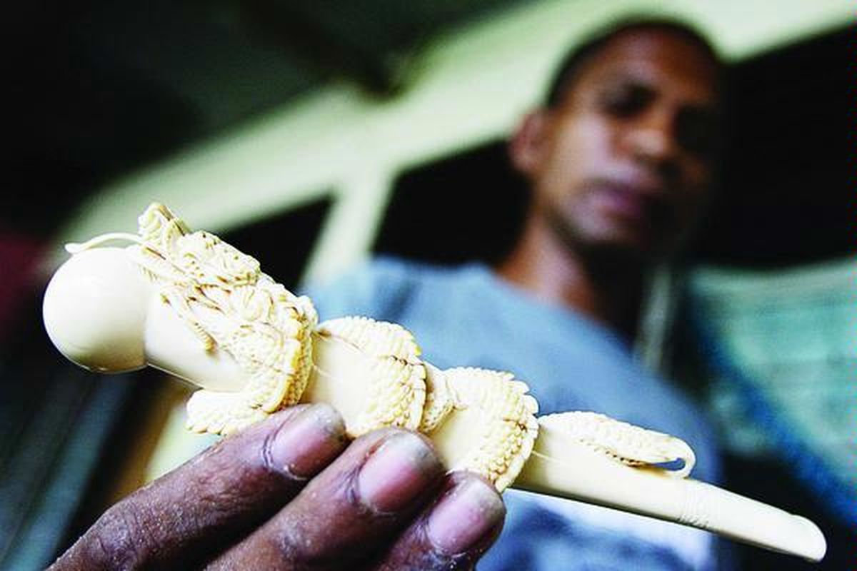 Salah satu produk pipa rokok dari gading gajah yang dijual Rp 8 juta per unit. Perajin mengolah gading gajah menjadi beragam aksesori di Kabupaten Sikka, Nusa Tenggara Timur, Jumat (20/11). Kerajinan ini secara turun-temurun ditekuni untuk memenuhi kebutuhan, antara lain mas kawin dan aksesori pada upacara pernikahan adat suku Sikka.