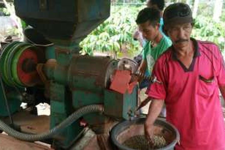 Petani kopi menunjukkan hasil kopi rakyat Desa Gombengsari, Banyuwangi, Jatim, pada Festival Kembang Kopi, Rabu (7/9/2016).