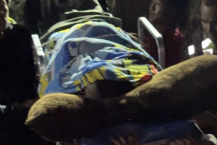 Pria di Aceh Tengah Meninggal akibat Konflik dengan Gajah Liar, Evakuasi Jenazah Terkendala Longsor