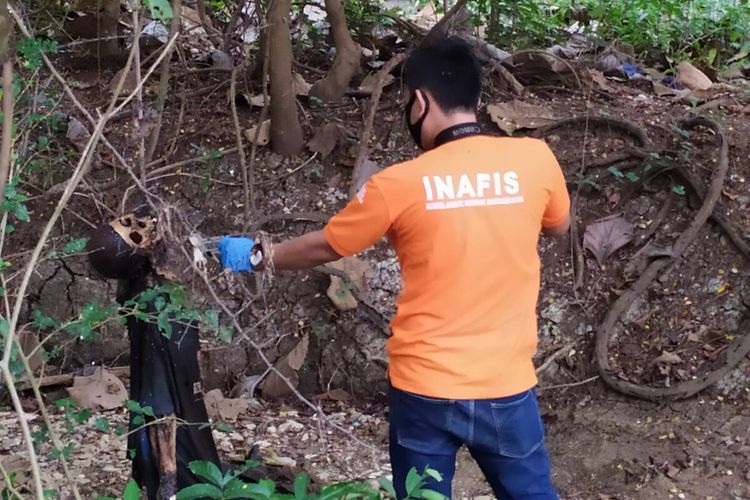 Sosok kerangka mayat ditemukan di dalam tengah hutan petak 10 RPH Sigagak, BKPH Sundulan, KPH Tuban, Desa Sumberjo, Kecamatan Widang, Tuban, Minggu (23/5/2021).
