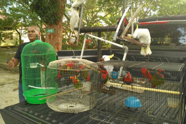 14 ekor burung asal Papua dan Maluku yang disita Tim Gabungan dari seorang pedagang di Batudaa, Kabupaten Gorontalo. 13 ekor termasuk jenis dilindungi