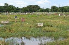 Pengelola TPU Semper Bakal Tinggikan Tanah di Makam yang Terendam Banjir