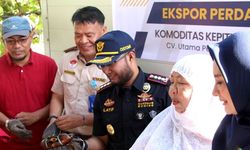 UMKM Asal Gorontalo Ekspor Perdana 71,6 Kilogram Kepiting Bakau ke Singapura