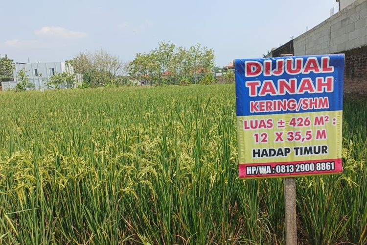 UU Pengaturan Reforma Agraria Diharapkan Koreksi Penguasaan Lahan oleh Korporasi