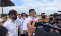 Soal Pengembangan Food Estate, Luhut Tekankan Pentingnya Sinergi dan Kolaborasi