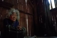 Kisah Nenek Rosalia, Bertahan Hidup di Gubuk Reyot, Kerap Hanya Makan Ubi dan Pisang