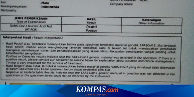 45+ Contoh surat hasil pemeriksaan antigen terbaru terbaik