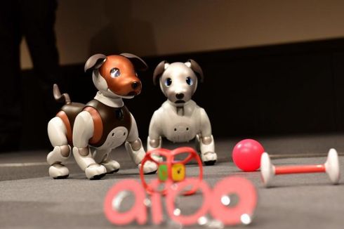 Anjing Penjaga ala Robocop Siap Kawal Keluarga di Jepang