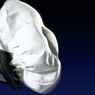 Mengenal Airbag pada Mobil, Fungsi dan Cara Kerjanya