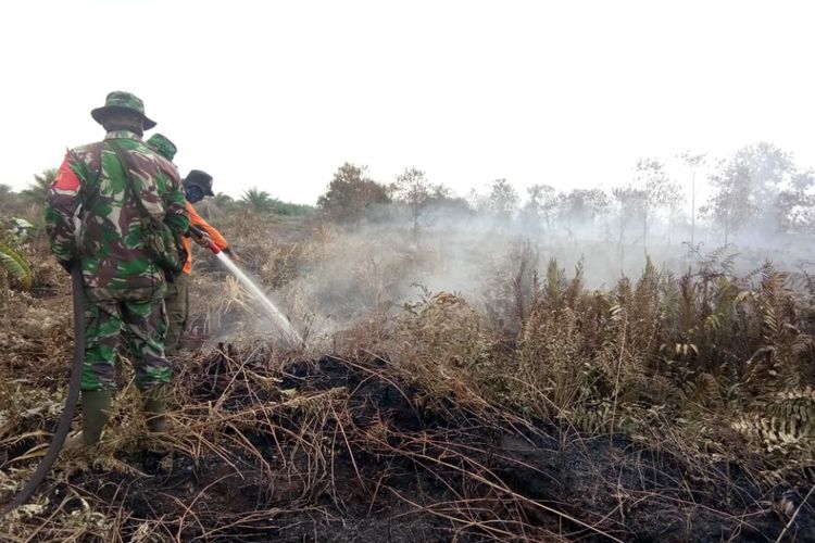 Tim Satgas Karhutla Riau melakukan pemadaman serta pendinginan api di lahan yang terbakar di Kabupaten Bengkalis, Riau, Sabtu (16/2/2019). 