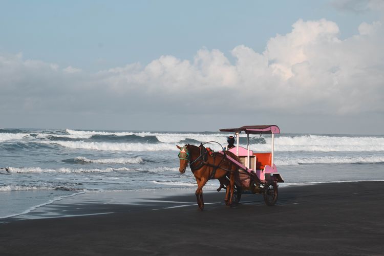 Ilustrasi Pantai Parangtritis di Bantul, Yogyakarta.