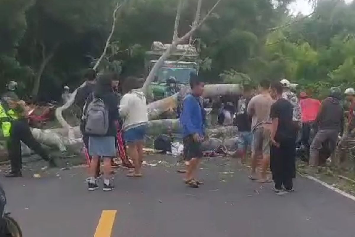 Tangkapan layar video kejadian seorang pelajar tertimpa pohon tumbang di Jalan Raya Denpasar-Gilimanuk, Jembrana, Bali, Rabu (5/2/2025) pagi.