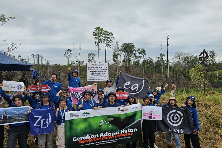 Para penggemar K-pop mengikuti aksi menanam pohon di Hutan Harapan, Jambi, Jumat (9/2/2024).