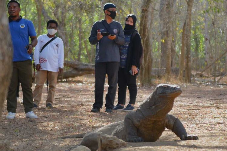 Officials from the Ministry of Tourism and Creative Economy have an outing with the media at Komodo National Park, Komodo Island, Labuan Bajo, West Manggarai Regency, East Nusa Tenggara Province, Sunday (13/9/2020)