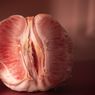 Apakah Sering Berhubungan Seks Bisa Bikin Vagina Longgar? 